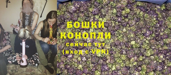 ПСИЛОЦИБИНОВЫЕ ГРИБЫ Баксан