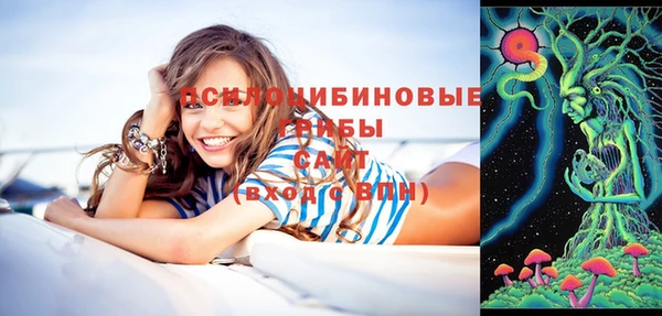 ПСИЛОЦИБИНОВЫЕ ГРИБЫ Баксан