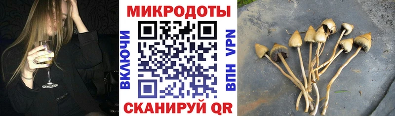 Галлюциногенные грибы MAGIC MUSHROOMS  Богородск 
