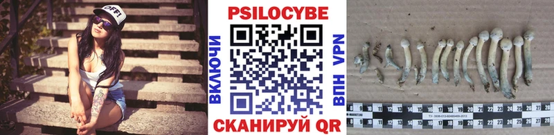 Псилоцибиновые грибы мицелий Богородск